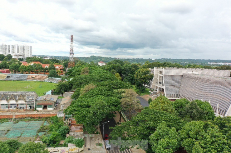Ông Bùi Văn Quý - Tổng Giám đốc Cty CP Đô thị và Môi trường Đắk Lắk, cho biết, đã chỉ đạo làm rõ nguyên nhân. Theo ông Quý, cây hoa sữa trụi lá, héo cành do dịch bệnh, hoàn toàn không có dấu hiệu bị đầu độc. “Chắc không có việc gì đâu, vài hôm nữa các cây hoa sữa này lại ra lá mới thôi” - ông Quý nói.