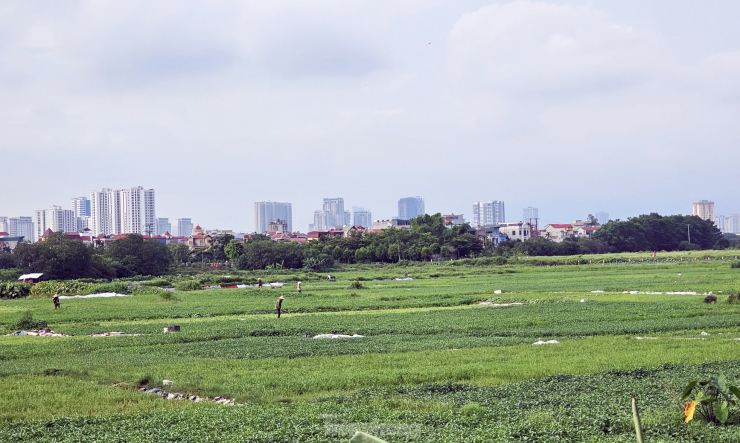 Tuy nhiên, sau khi sáp nhập tỉnh Hà Tây, TP Hà Nội có chủ trương di dời các khu công nghiệp ra khỏi khu vực phát triển đô thị. Nhận thấy dự án Cụm công nghiệp Đồng Mai không còn phù hợp về chủ trương quy hoạch, Công ty Phong Phú đã đề nghị điều chỉnh quy hoạch Cụm Công nghiệp Đồng Mai và điều chỉnh chức năng từ Cụm Công nghiệp thành khu đô thị Đồng Mai.