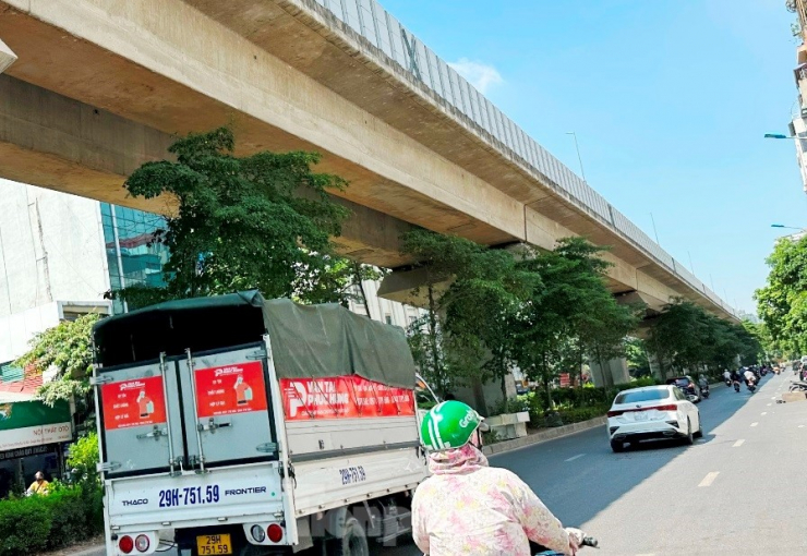 Đi dọc trục đường Yên Lãng - Hoàng Cầu (Đống Đa) trong thời gian này, người tham gia giao thông "nhói lòng" khi thấy hàng loạt cây xanh không thể phát triển khi ngọn "đụng" gầm bê tông đường trên cao.