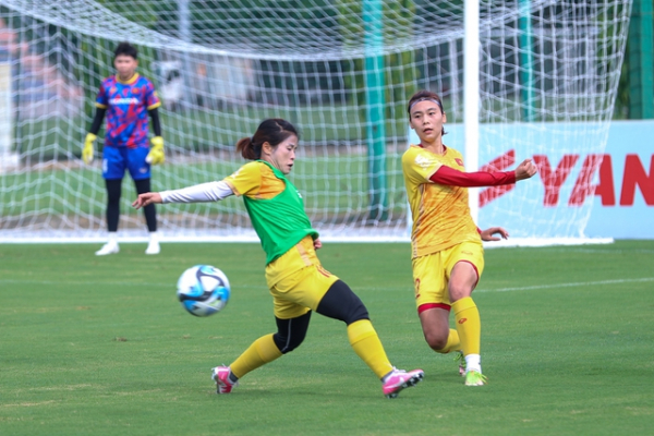 Đội tuyển bóng đá nữ quốc gia Việt Nam sẽ lên đường tham dự vòng chung kết World Cup 2023 diễn ra từ ngày 20/7 đến 20/8 tới tại Australia và New Zealand.