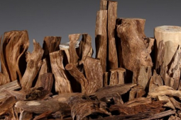 Thị trường - Tiêu dùng - Thứ của Việt Nam có chất lượng tốt nhất thế giới, giá tiền tỷ vẫn khó mua