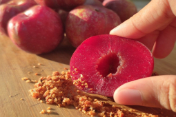 Ẩm thực - Mận vào mùa vừa to vừa rẻ, ăn như thế nào để không hại thân?