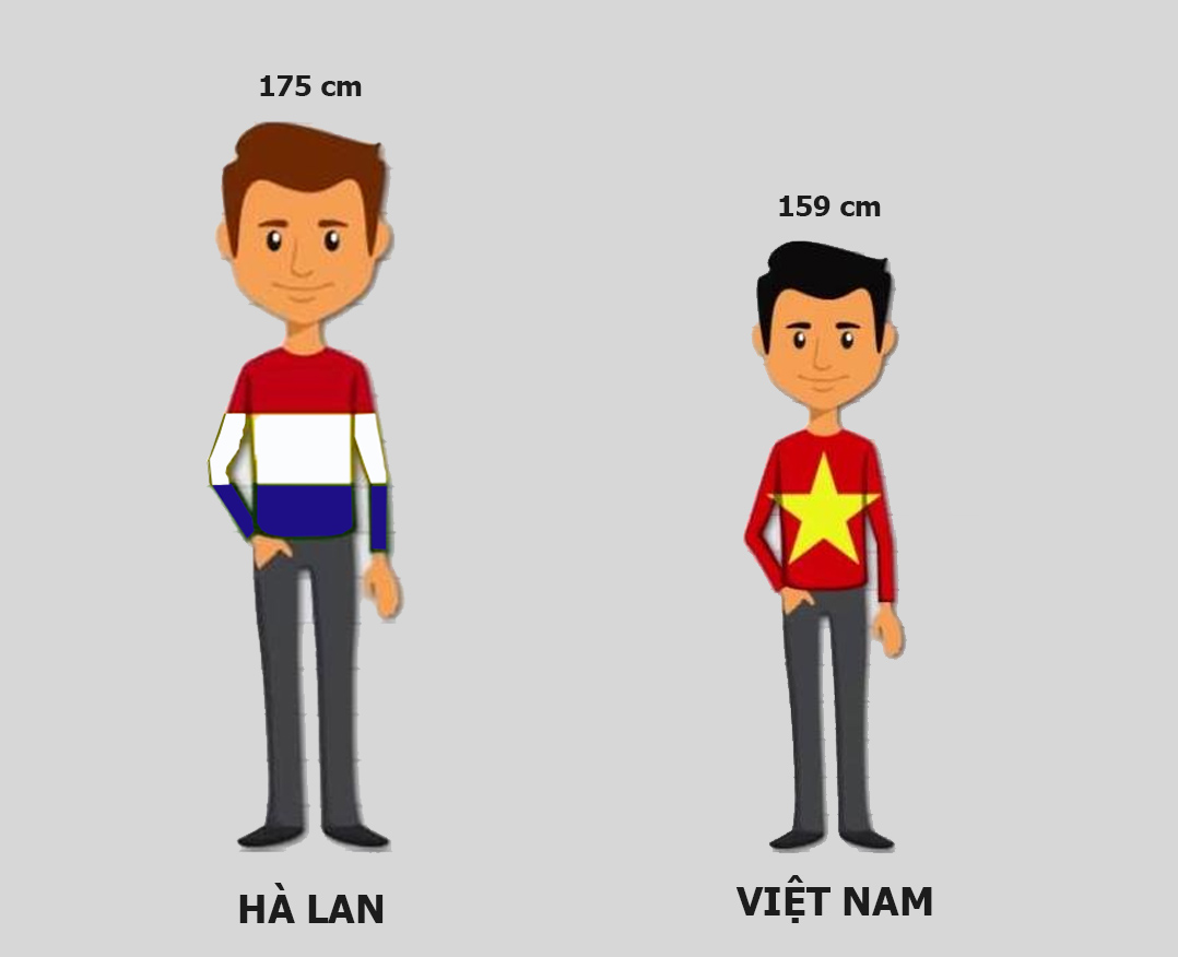 So với người Hà Lan, chiều cao trung bình của người Việt Nam thấp hơn gần 17cm