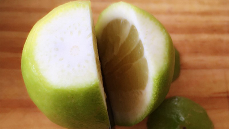 Để có nhiều nước cốt chanh hơn và thuận tiện khi vắt, bạn hãy cắt chanh theo chiều dọc để thấy kết quả