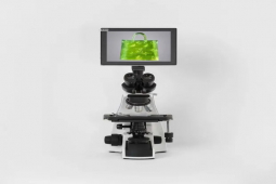 Thị trường - Tiêu dùng - Mang chiếc túi hàng nhái, bé như hạt muối đi đấu giá cũng thu về tiền tỷ