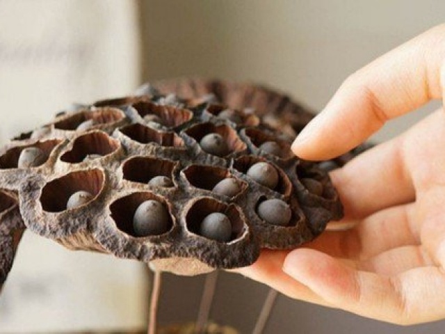 Thị trường - Tiêu dùng - Lá khô, vỏ trấu vứt bỏ bỗng ''đổi đời'' trên sàn thương mại điện tử