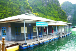 Tin tức trong ngày - Làng chài thuộc top đẹp nhất thế giới ở vịnh Hạ Long đang 'chìm' dần