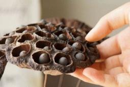 Thị trường - Tiêu dùng - Lá khô, vỏ trấu vứt bỏ bỗng ''đổi đời'' trên sàn thương mại điện tử