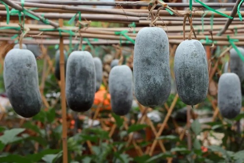 4 loại "đồ thừa" trong nhà bếp này thực chất là "vua dinh dưỡng" - 3