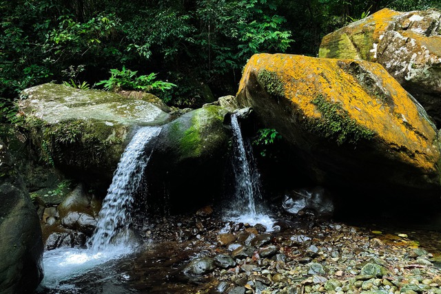 Không khí trong lành cùng dòng nước mát lạnh nơi suối Cửa Tử ( Ảnh: Yến Lee)
