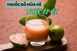 Ẩm thực - Giàu vitamin C gấp 4 lần cam, uống nước ép ổi vào mùa hè sánh ngang thuốc bổ