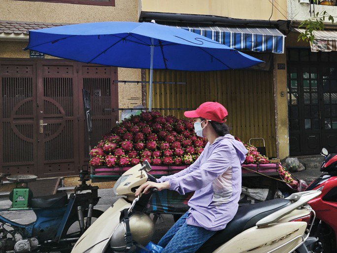 Thanh long chất đống bán rẻ tại TP HCM