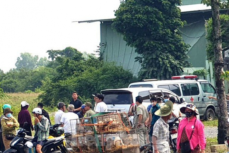 Nam thanh niên tử vong trong tư thế treo lơ lửng dưới gốc cây bên đường