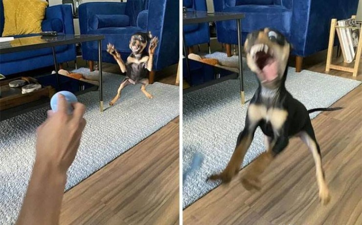 Chuẩn bị đỡ lấy nè.

