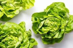 Ẩm thực - Bí quyết giữ xà lách tươi giòn suốt 14 ngày