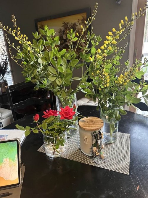 Sau ly hôn, vợ cũ quyền lực của Đàm Vĩnh Hưng sống trong biệt thự sang chảnh không kém ông hoàng nhạc Việt - 3