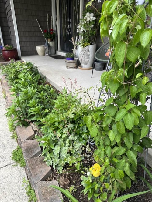 Sau ly hôn, vợ cũ quyền lực của Đàm Vĩnh Hưng sống trong biệt thự sang chảnh không kém ông hoàng nhạc Việt - 7