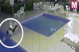 Bé trai 3 tuổi chới với dưới bể bơi, phút tuyệt vọng được người hùng giải cứu kịp thời