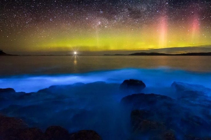 Hiện tượng phát quang sinh học ở Tasmania: Ở sông Derwent tại Tasmania có làn sóng phát quang sinh học cực mạnh, đây một hiện tượng điện tự nhiên tạo ra một bầu trời với rất nhiều màu sắc.
