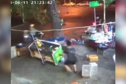 Xe máy - Xe đạp - Clip: Thót tim cây bật gốc đè ngang xe máy