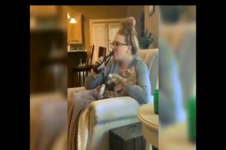 Clip hài hước - "Mèo thành tinh" có thể làm những gì?