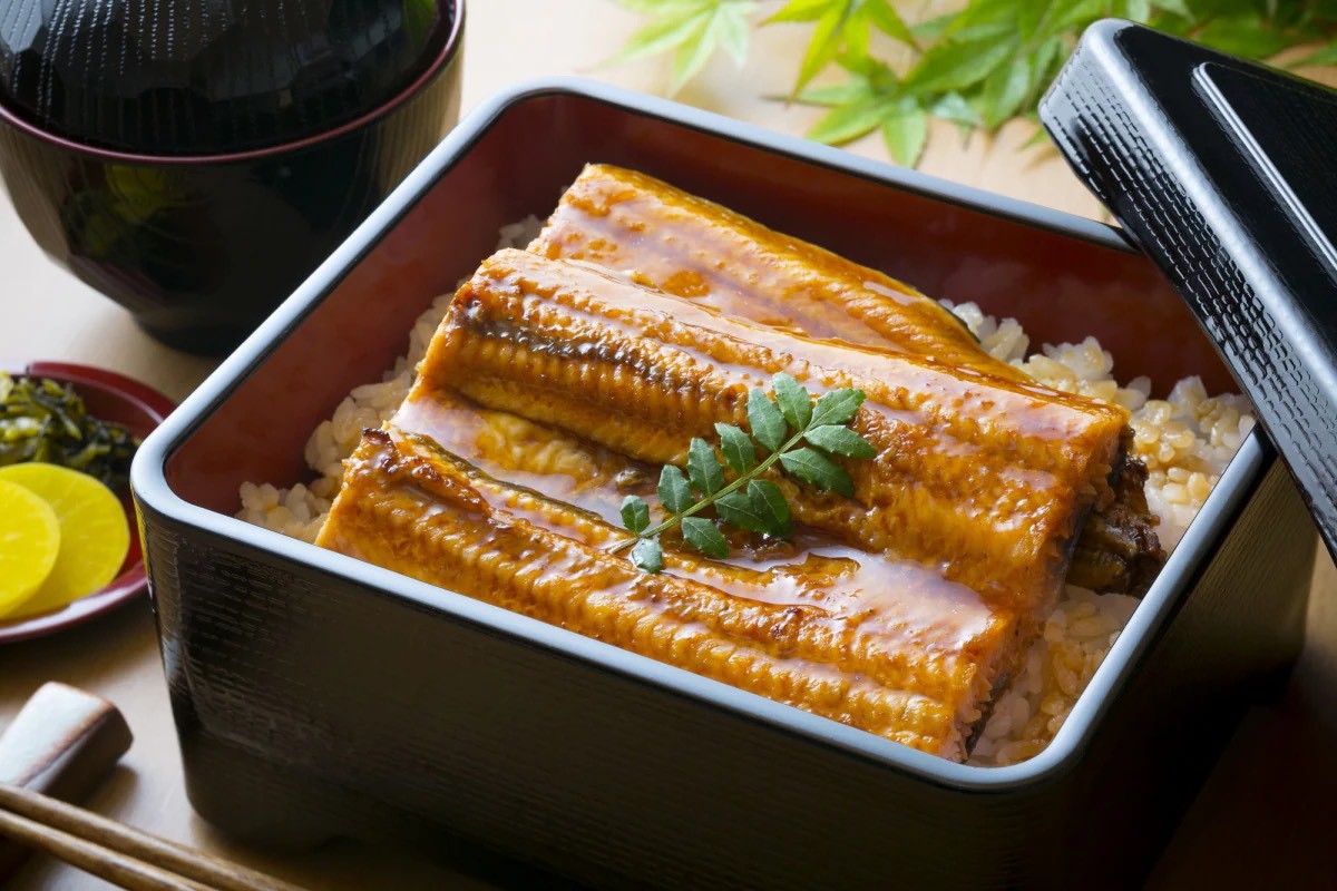 Tại sao người Nhật ăn lươn rất nhiều, đặc biệt là nam giới? - 9