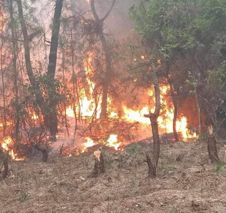 Cận cảnh hàng ngàn lượt người vật lộn với đám cháy rừng thông suốt 16 giờ - 3