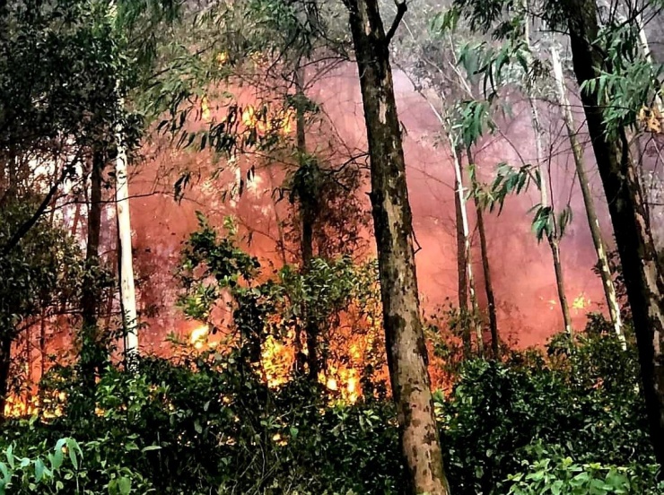 Cận cảnh hàng ngàn lượt người vật lộn với đám cháy rừng thông suốt 16 giờ - 7