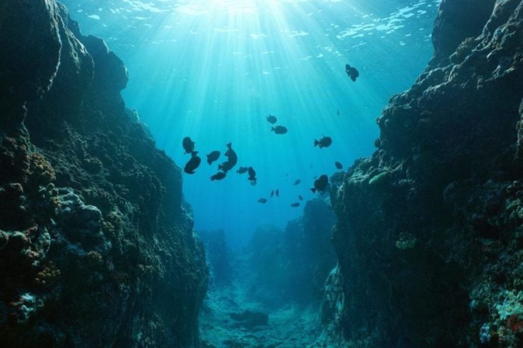 Đáy đại dương: 70% bề mặt Trái đất nằm dưới đại dương, nhưng 95% trong số đó vẫn chưa được con người khám phá. Mặc dù các nhà khoa học đã có thể lập bản đồ toàn bộ đáy đại dương nhưng độ phân giải cực kỳ kém, vì vậy chúng ta chỉ có thể hình dung sơ bộ.
