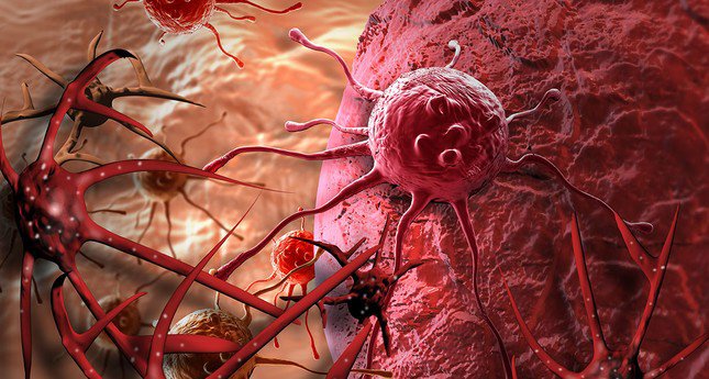 Tế bào ung thư là những tế bào phân chia không ngừng, tạo thành khối u rắn hoặc làm tràn ngập máu với các tế bào bất thường. (Nguồn: Internet)