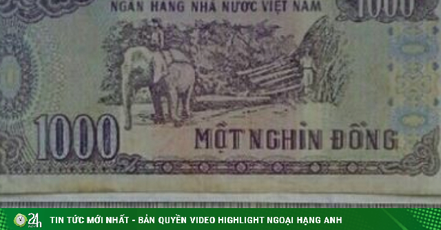 Tờ tiền 1000 đồng được rao bán trên mạng, 