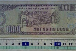 Tờ tiền 1000 đồng được rao bán trên mạng, ”hét” mức giá cao gây xôn xao