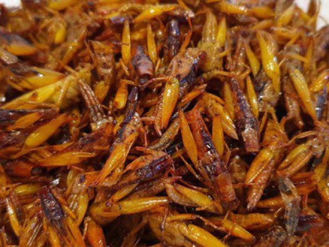 Sức khỏe đời sống - Nam thanh niên sốc phản vệ sau khi ăn châu chấu