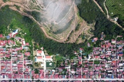 Tin tức trong ngày - Hàng chục hecta thông thuộc rừng phòng hộ bị triệt hạ