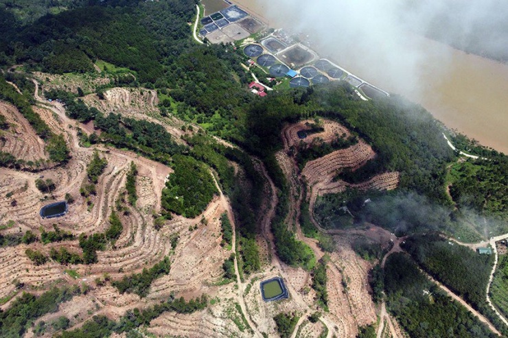 48,8 ha là diện tích rừng thông đang được xin chuyển đổi làm khu du lịch sinh thái. Ảnh: ĐẶNG TRUNG