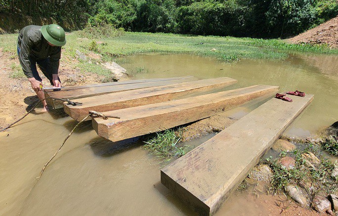Số gỗ rừng được phát hiện dưới suối ở thôn Liên Sơn, xã Xuân Lẹ, huyện Thường Xuân. Ảnh: Trần Đại