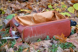 Pháp luật - Hai án chung thân cho mẹ kế sát hại con chồng