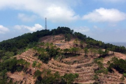 Tin tức trong ngày - Rừng bị triệt hạ rồi xin làm du lịch sinh thái