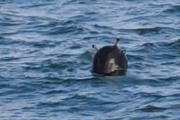 Nga cảnh báo về mối đe doạ thuỷ lôi của Ukraine ở Biển Đen