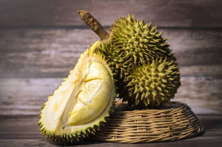 Sầu riêng có hàm lượng chất dinh dưỡng rất cao so với các loại trái cây khác.Ảnh: Shutterstock