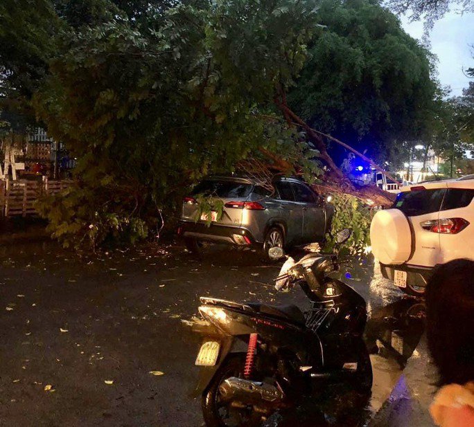 TP HCM se lạnh trong ngày đầu tuần - 9