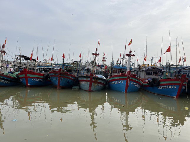 Tàu thuyền neo đậu tại cảng ở thành phố Sầm Sơn chiều 17/7.