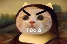 Truyện cười - Ngôn tình đời thực của những cặp đôi hay dỗi nhau