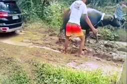 Ô tô - Clip: Ford everest sa lầy được "Lamboghini" kéo lên