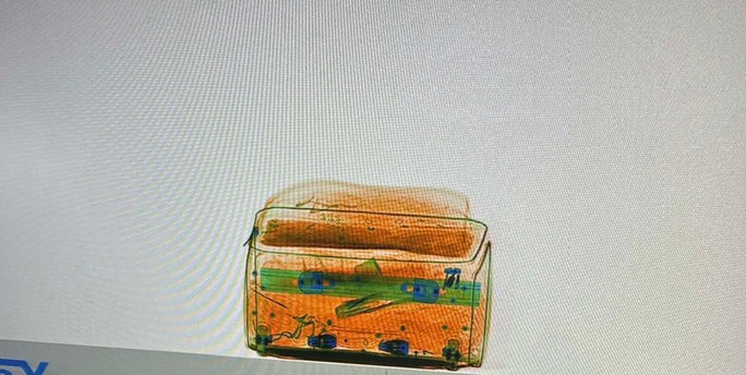 CLIP: Công an TP HCM lật tẩy bí mật của một phụ nữ nhập cảnh vào Việt Nam - 2