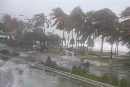 Tin tức trong ngày - Bão số 1 giật cấp 12 áp sát đất liền, cảnh báo mưa lớn, nguy cơ lũ quét nhiều nơi