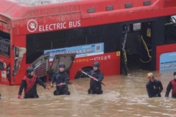 Thế giới - HQ: Lý do tài xế xe buýt đổi lộ trình, khiến nhiều người gặp thảm họa trong hầm đường bộ