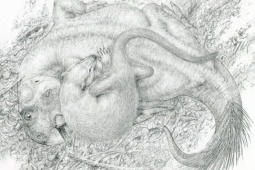 Thế giới - Con vật nhỏ có thể tấn công, ăn thịt khủng long