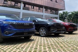 Tin tức ô tô - Haval H6 hybrid "đổ bộ" đại lý Việt Nam, chờ ngày mở bán