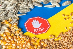 Thế giới - 5 quốc gia thuộc EU kéo dài lệnh cấm nhập khẩu ngũ cốc Ukraine